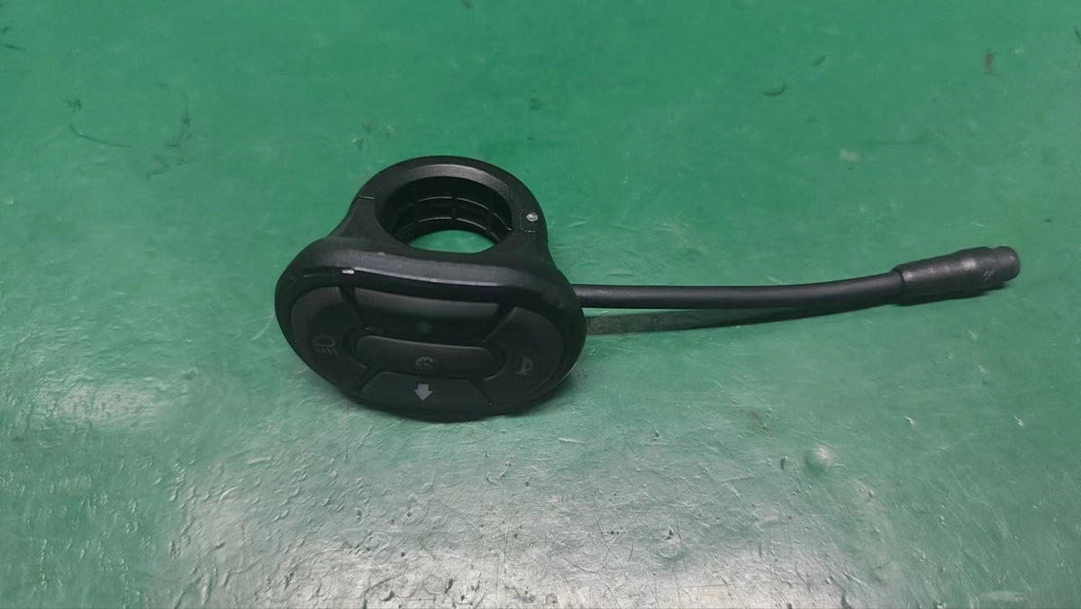 INMOTION RS Switch A.LIB-0000000714B1