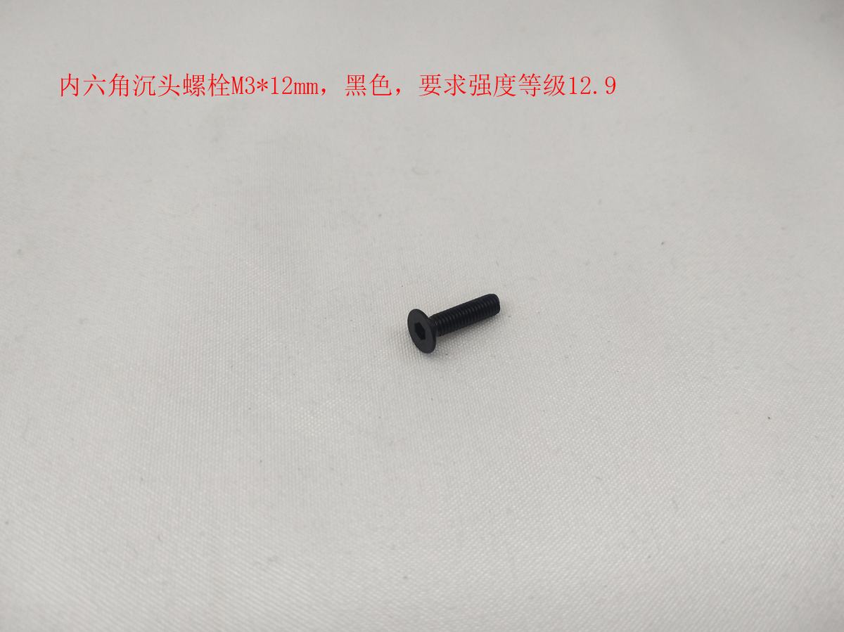 INMOTION V5 Bolt M.SUNBKM3XX12MM