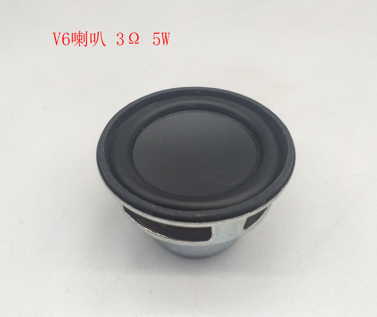 INMOTION V10 Speaker P.V6-LOUNDXXX5W
