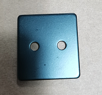 INMOTION 208 Plate T.LE1-1101000424