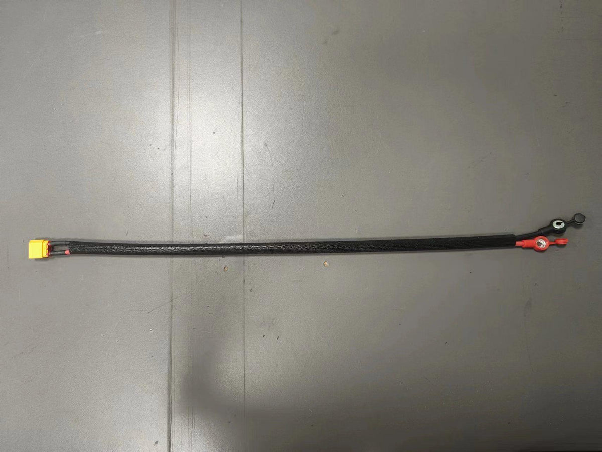 INMOTION RS Battery T.LR1-1104000035