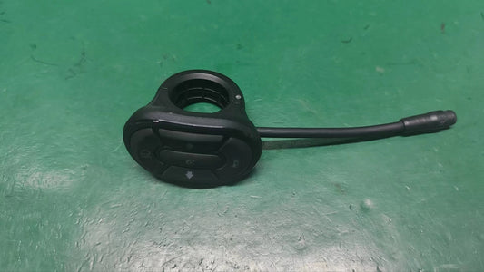 INMOTION RS Switch A.LIB-0000000714B1
