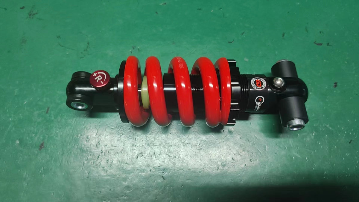INMOTION RS Suspension A.LIB-0000000728
