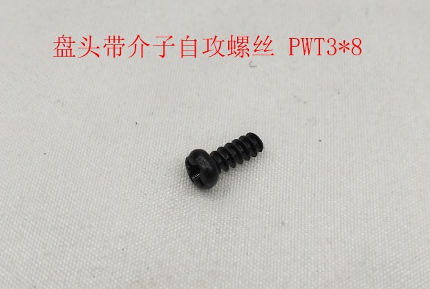 INMOTION S1 Screw M.SZPWT3XX8MM
