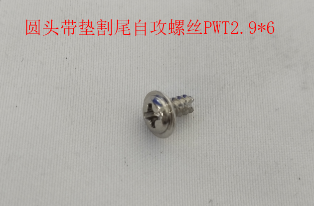 INMOTION V5 Screw M.SZSTPWT29*6X
