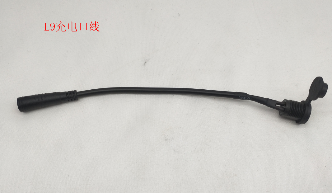 INMOTION S1 Charge Port R.L9JLF3105AM2P0