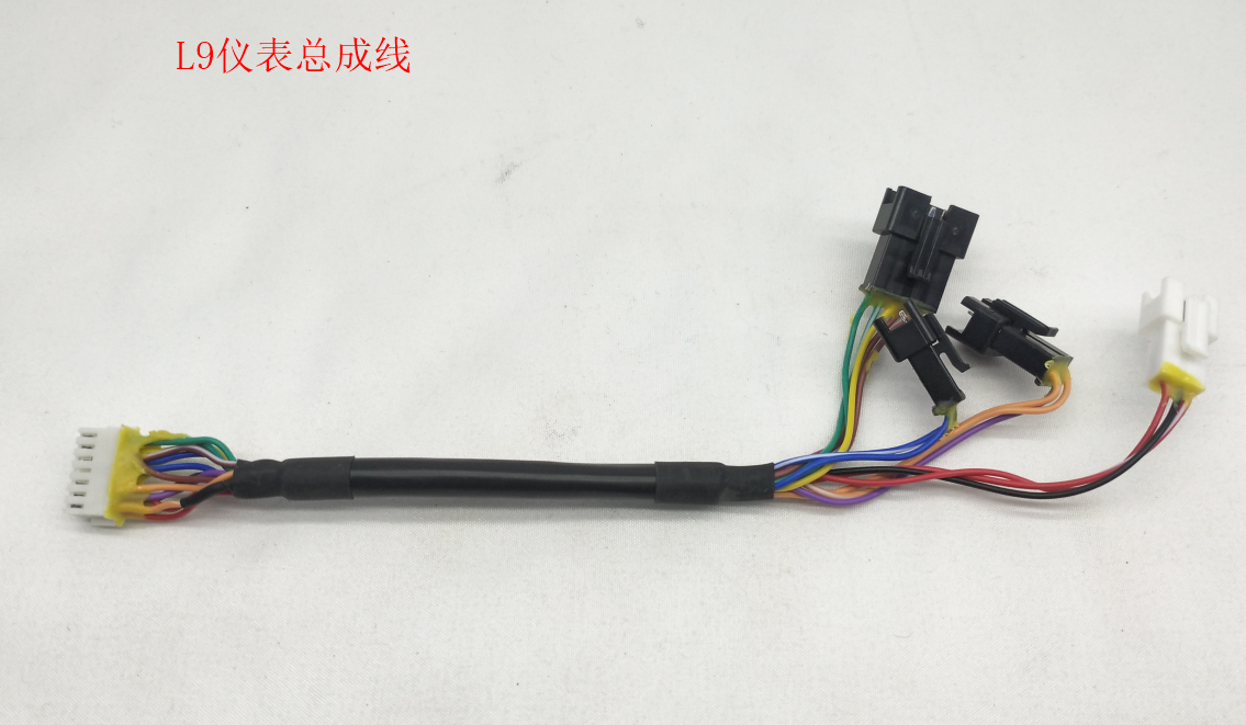 INMOTION S1 Cable R.L9PHS72P000022