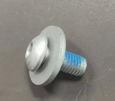 INMOTION RS Screw T.LR1-1102000791