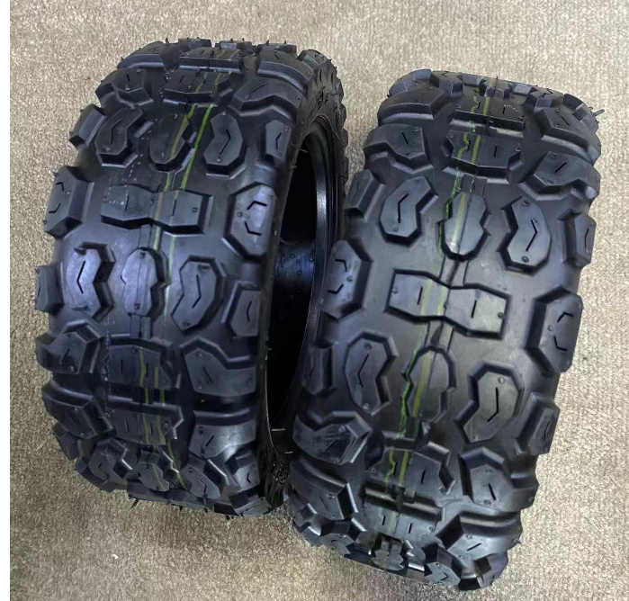 INMOTION RS Tire T.LR1-110300259
