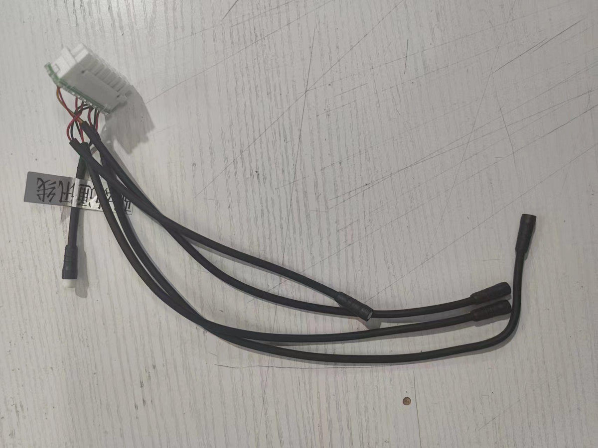 INMOTION RS Cable T.LR1-1104000030