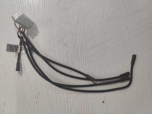INMOTION RS Cable T.LR1-1104000031