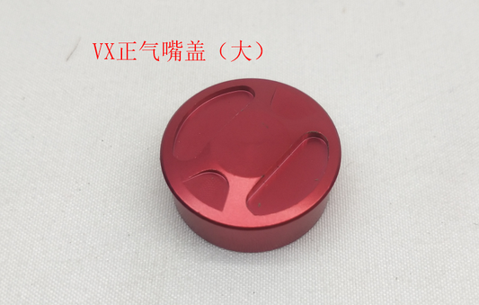 INMOTION V11 Part T.VX--1102000193