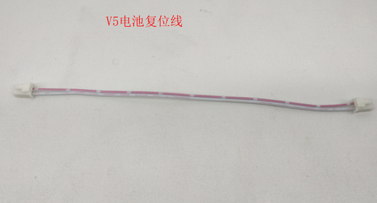INMOTION V5 Battery W.V5-DCFWX-2PIN